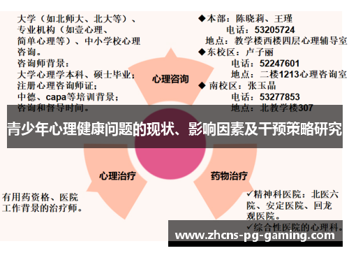青少年心理健康问题的现状、影响因素及干预策略研究 青少年心理健康问题的现状、影响因素及干预策略研究